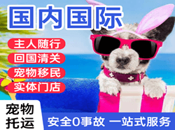 通化机场货运国际宠物托运 【国